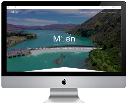 moen_website.png